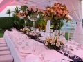 Amathus Beach Hotel - Wedding Dinner the Lawn Gardens